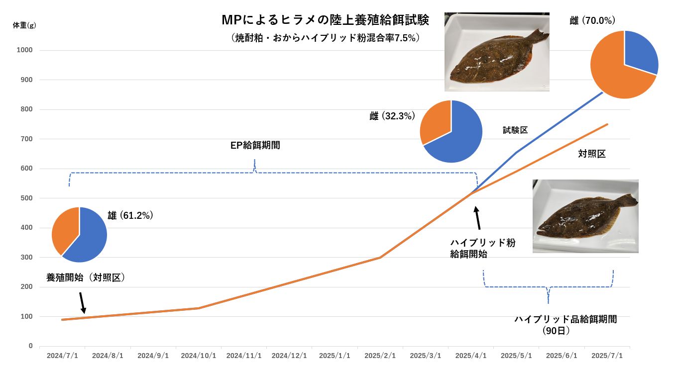 ヒラメ養殖試験結果